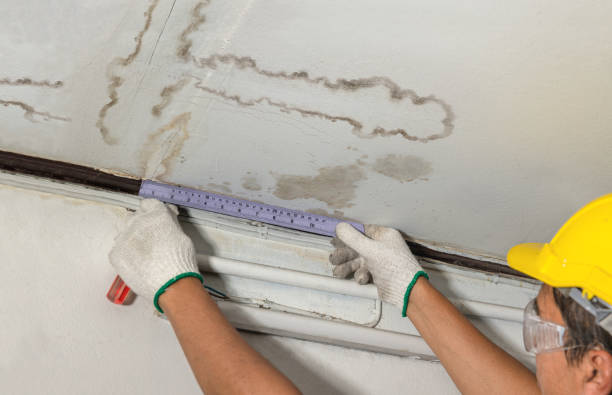 Reliable Burst Pipe Cleanup contractor in Firestone, CO by Water Damage Irwin